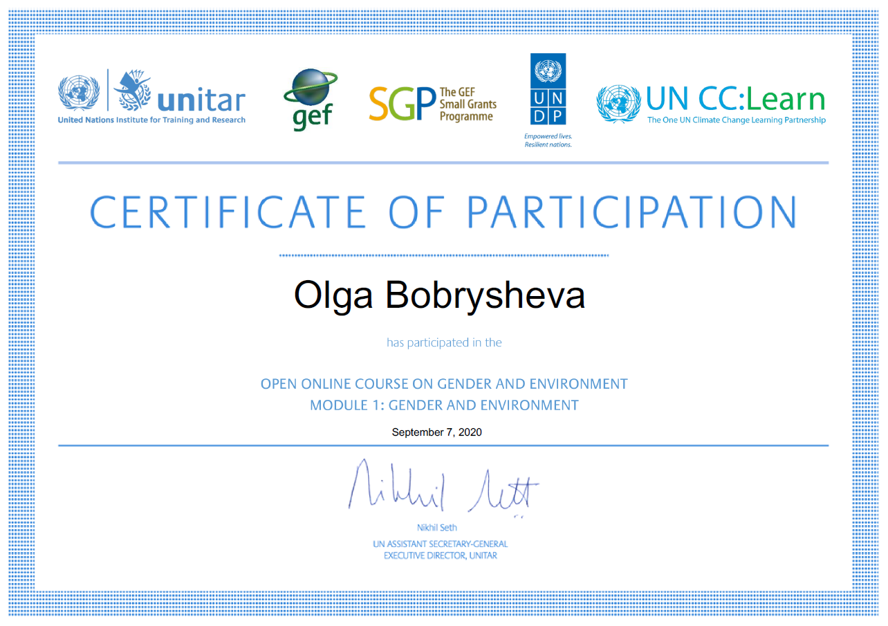 UN CC:Learn — Certificate of Participation